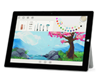 碾子山Surface 无法开启、Windows 无法启动或电池无法充电